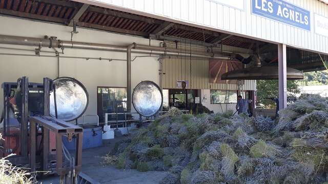 Les Agnels - Lavender and aromatic plant distillery