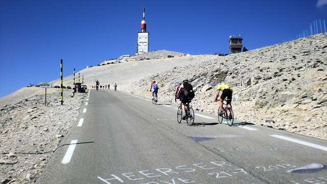 Cyclisme : Ascension du Mont-Ventoux depuis Sault