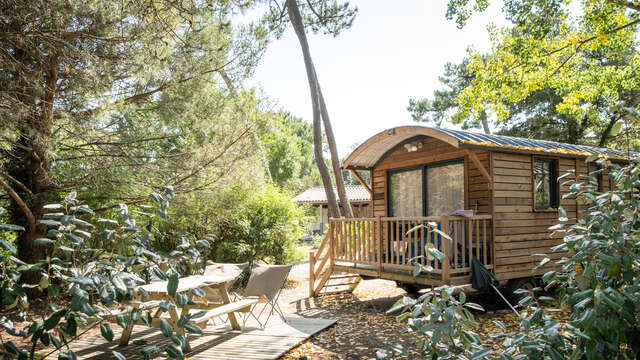 Spend a night in a caravan for 4 people in the heart of the forest