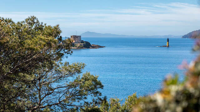 Sentier du littoral – Balade « Cap sur le Grand Langoustier » sur l’île de Porquerolles