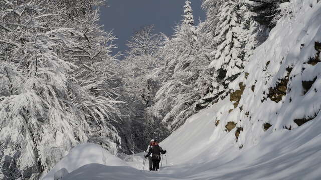 Balades raquettes Weekend à La Féclaz ou au Revard