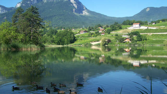 Montée cyclo du Col du Granier