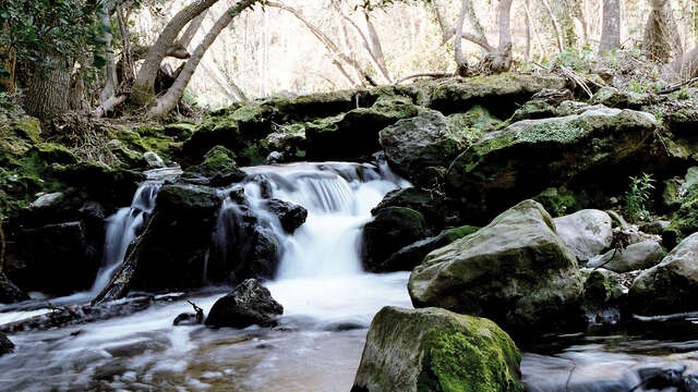 La Brague Picnic Area