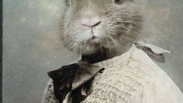 Au Comptoir d'Auguste