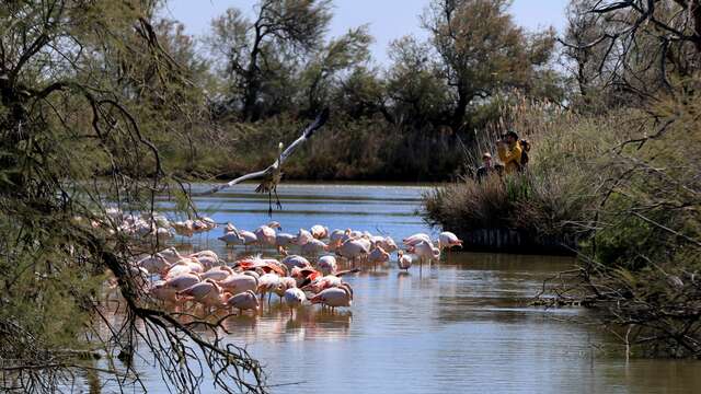 Ornithological park of Pont de Gau