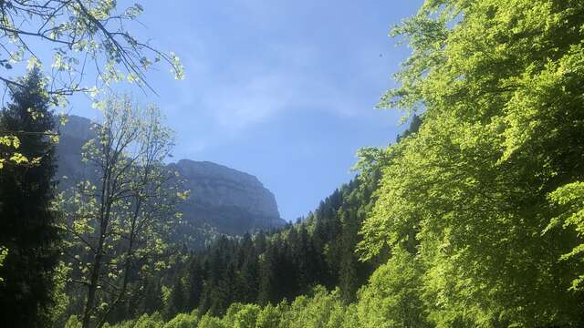 5 - Le tour du Roc d'Arguille on trail