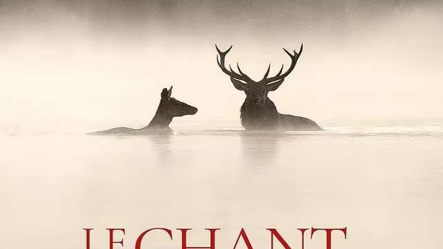 Projection du film "Le chant des forêts"