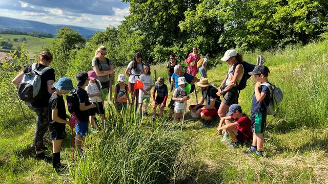Découverte sensorielle de la nature des pelouses sèches de Monterminod I Rendez-vous Nature en Savoie