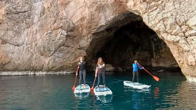 One hour Sup-Paddle rental