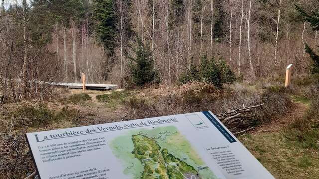 Sentier nature de Planfoy et tourbière des Vernels - Aller retour de 2km