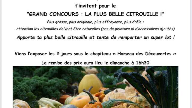 CONCOURS DE CITROUILLES de la Foire d'Automne d'Abondance