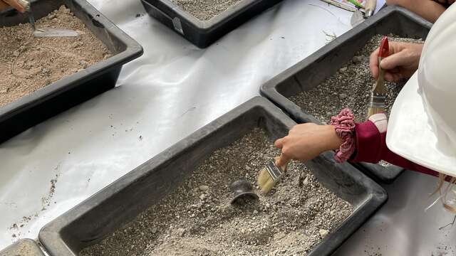 Children's Groups - Little Archaeologists