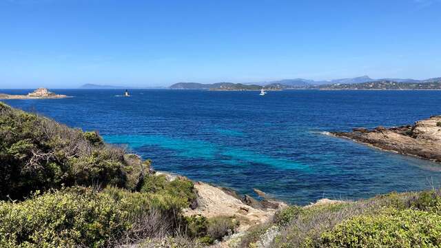 Porquerolles - Circuit du Langoustier