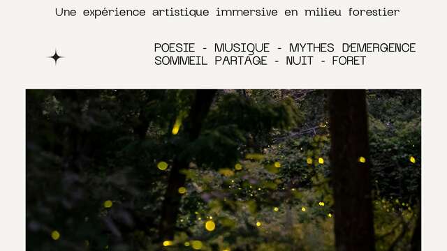 Festival Les nuits en forêt