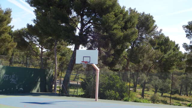 Jouer au basket
