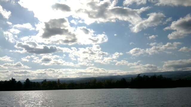 Walk around the Savigneux pond