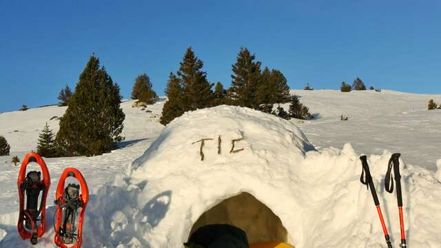 Une nuit en igloo