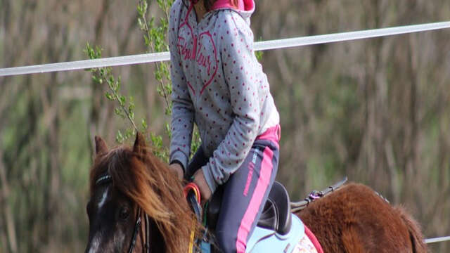 Activités équestres