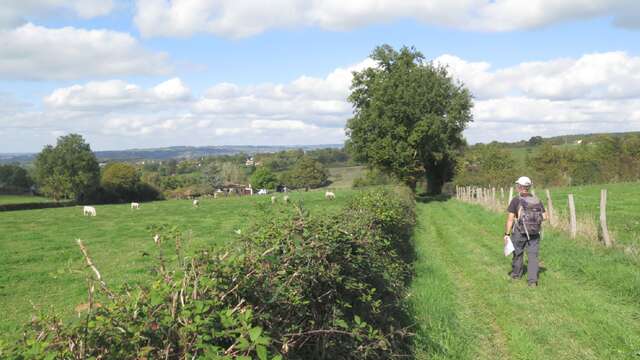 Paroles Paysannes entre plaine et bocage