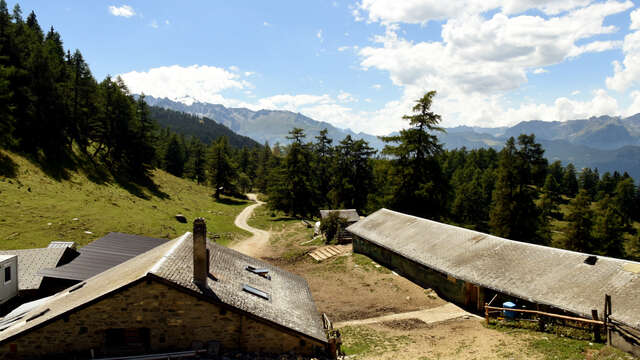 Buvette d'alpage du Col du Tronc