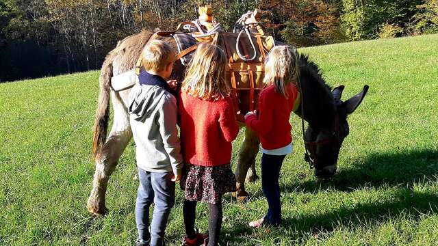 Birthday party - Walk with a donkey