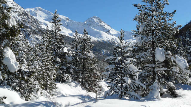 Découverte de la Vallée d'Izoard à raquette - Fugues en Montagne