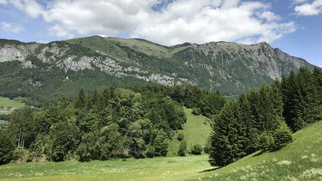 Itinéraire pédestre : Circuit Sur le Coux