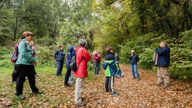 Balade : à la découverte de la forêt autour du lac de Paladru, d'hier à aujourd'hui
