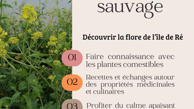 Balade et cueillette sauvage