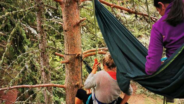 Zen Agritude : Relaxation et lecture de contes dans les arbres