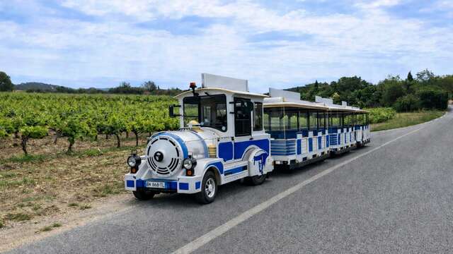 Entdeckungsreise durch La Londe les Maures im kleinen Zug