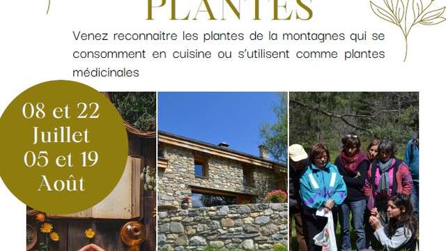 Les après-midi PLANTES au refuge du Pic du Mas de la Grave