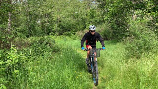 N°19 Au fil de la soie