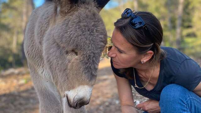 Découverte de l'asinerie et balade au pas de l'âne - 1/2 journée