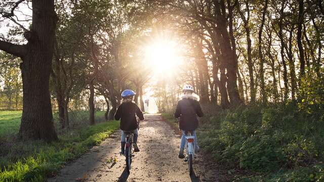 Le Bois de Luna - Location VTT à assistance électrique