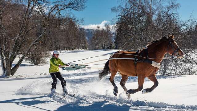 Equestrian Circle Volte Face