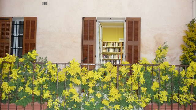 Médiathèque de Tanneron