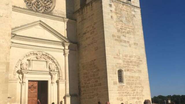 Collégiale Saint Sauveur