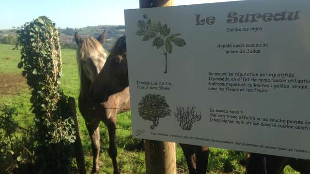 Sentier botanique