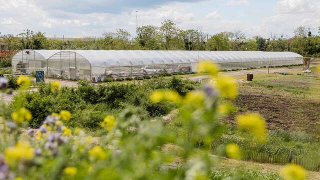 Visite guidée - Lil’Ô, friche industrielle en reconversion écologique !