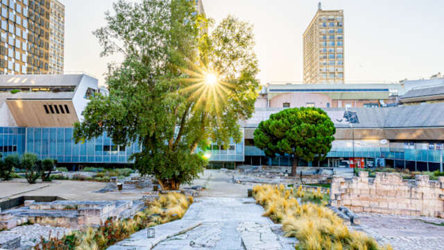 Visite sensorielle des collections