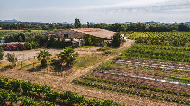 Domaine Le Jas des Oliviers