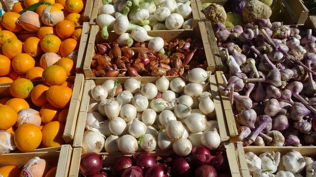 Marché de Jonquières