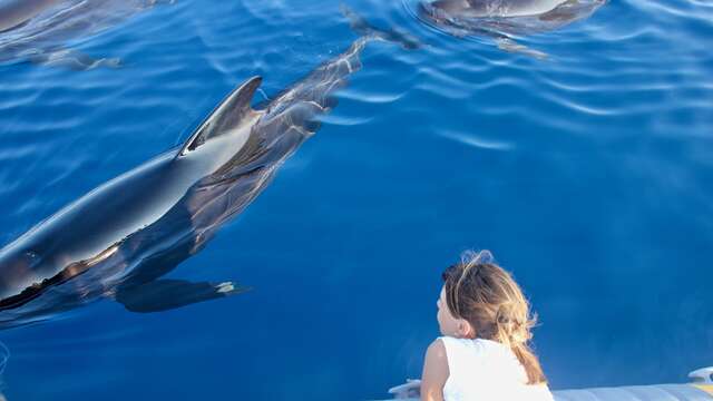 Vertical Horizon - Whale Watching