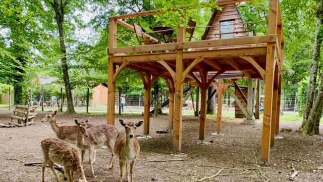 Cabanes perchées Cerfs et Rennes - DDLD