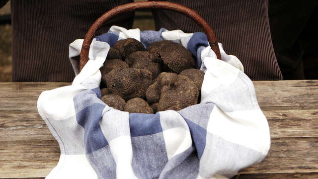 Marchés aux truffes des "Villages & Vallées d'Azur"