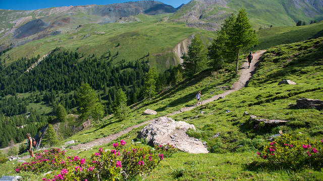 Trail - Boucle du col Lacroix en nocturne
