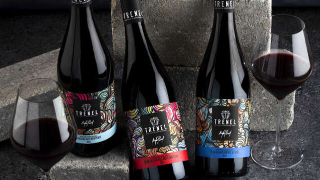 Atelier Découverte "Rhône & Beaujolais " - M.CHAPOUTIER