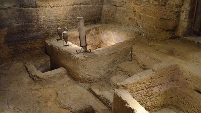 Visites et Dégustations au Verger des Papes