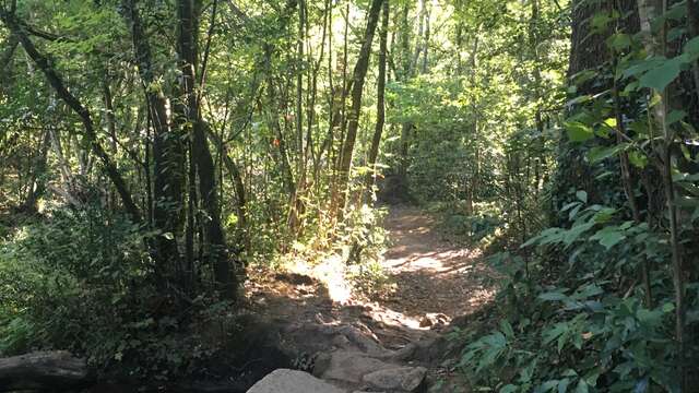 Promenade : Le pont des Tuves - Montauroux